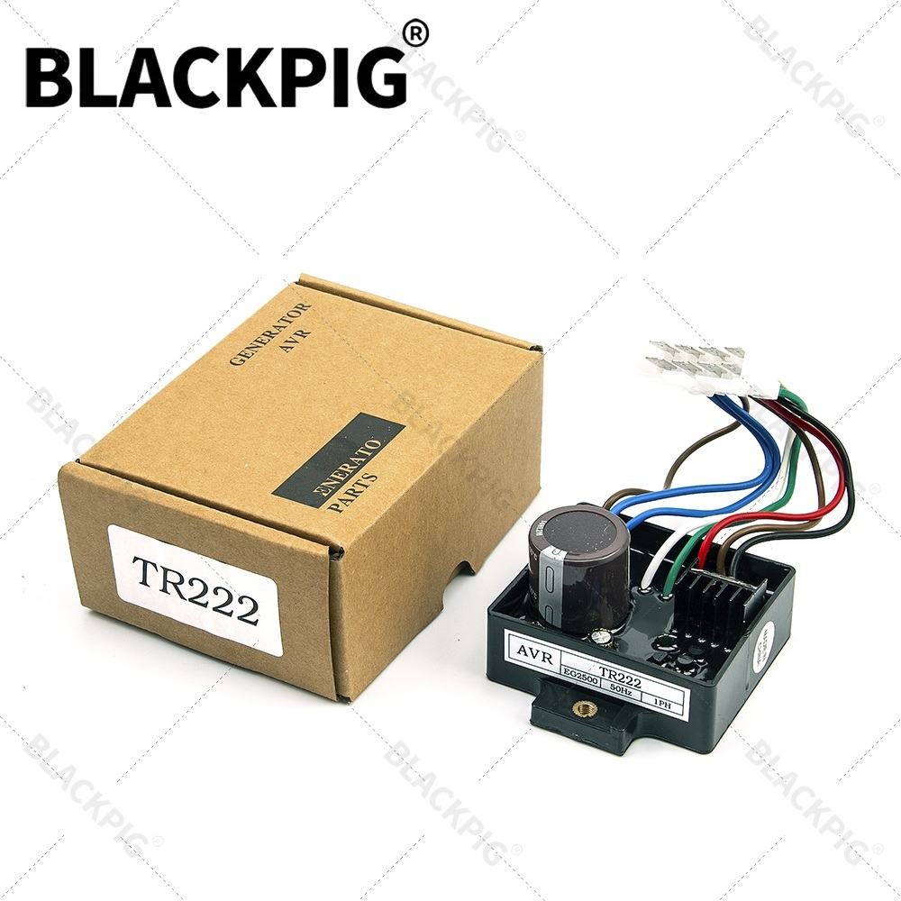 TR222 EG2500 AVR 自動電圧レギュレータスタビ - Cycloidal Reducer Bldc Motor のレビューと価格